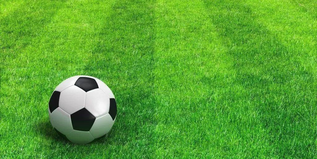 球队教练组战术分析